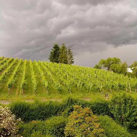 Gaestehaus Foehr Wintrich